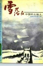 雪落在中国的土地上  爱国作品现代篇