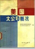 美国大公司概况