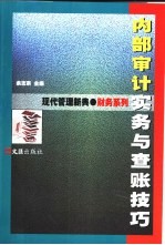 内部审计实务与查账技巧