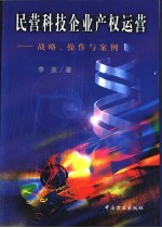 民营科技企业产权运营 战略、操作与案例