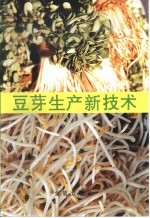 豆芽生产新技术