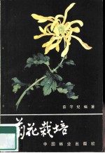 菊花栽培