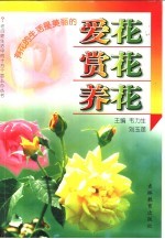 爱花·赏花·养花