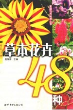 草本花卉