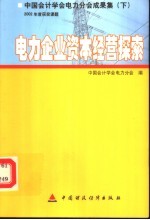 中国会计学会电力分会成果集 2002年度获奖课题电力企业资本经营探索 下