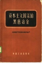 资本主义国家的黑色冶金 第2册 冶炼前矿石处理与高炉生产