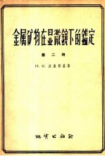 金属矿物在显微镜下的鉴定 第2册