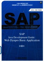 SAP Java开发技术详解  Web Dynpro基础应用