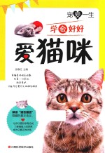 宠爱一生 学会好好爱猫咪