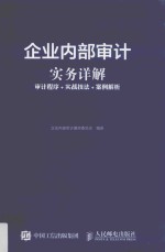 企业内部审计实务详解  审计程序  实战技法  案例解析