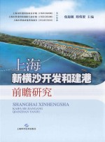 上海新横沙开发和建港前瞻研究