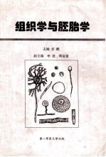 组织学与胚胎学