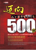 迈向500强