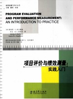 项目评价绩效测量 实践入门