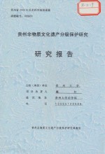 贵州非物质文化遗产分级保护研究  研究报告