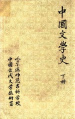 中国文学史 元明清部分 下