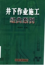 井下作业施工经典案例