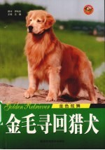 金毛寻回猎犬 金色炫舞