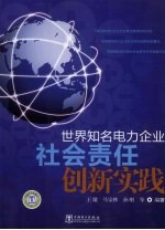 世界知名电力企业社会责任创新实践