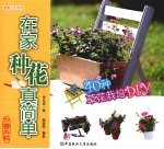 在家种花真简单