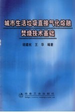 城市生活垃圾直接气化熔融焚烧技术基础