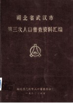 湖北省武汉市第三次人口普查手工汇总资料汇编