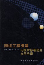 网络工程组建与技术标准规范实用手册 第3卷