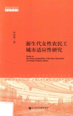 新生代女性农民工城市适应性研究