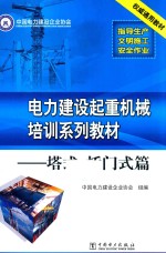 电力建设起重机械培训系列教材 塔式、桥门式篇