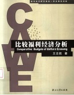 比较福利经济分析 福利经济的实践是一种发展的创新