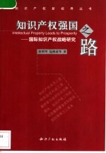 知识产权强国之路  国际知识产权战略研究