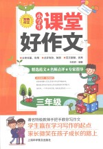 小学生课堂好作文 三年级