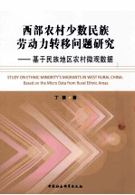 西部农村少数民族劳动力转移问题研究 基于民族地区农村微观数据