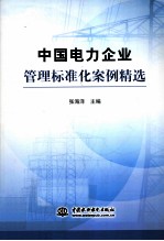 中国电力企业管理标准化案例精选