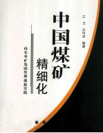 中国煤矿精细化 山东枣矿集团管理创新实践