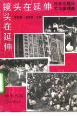 镜头在延伸 社会问题纪实文学精选