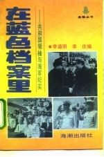 在蓝色档案里 共和国领袖与海军纪实