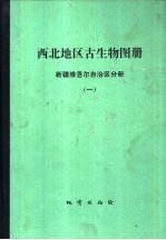 西北地区古生物图册 新疆维吾尔自治区分册 1 晚元古代-早古生代部分