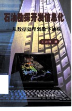 石油勘探开发信息化 从数据处理到数字油藏