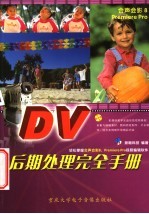 DV后期处理完全手册