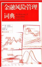 金融风险管理词典