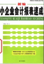 新编小企业会计报表速成