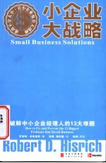 小企业大战略 破解中小企业经理人的13大难题