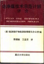 洁净煤技术示范计划评介