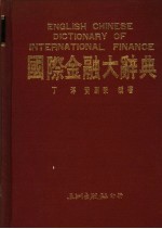 国际金融大辞典