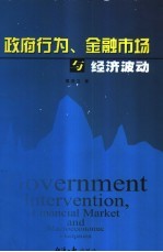 政府行为、金融市场与经济波动