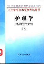 护理学：执业护士含护士  下册