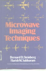 Microwave Imaging Techniques