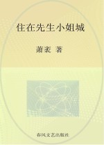 国内大奖书系  住在先生小姐城