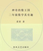 神奇的数王国 数学童话 二年级数学真有趣 注音美绘